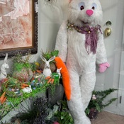 Photo submitted by Alex