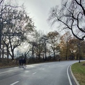 Photo submitted by Dena