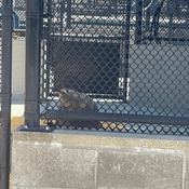 Photo submitted by Lydia