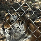 Photo submitted by Groupon