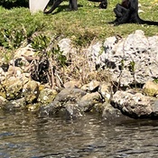 Photo submitted by Amy