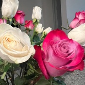 Photo submitted by Marina