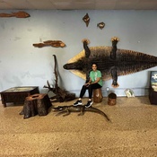 Photo submitted by MICHELLE