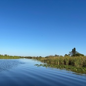 Photo submitted by Groupon