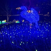 Photo submitted by Cierra