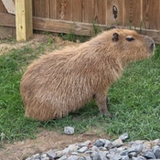 Photo submitted by Valerie