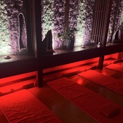 Photo submitted by Nintentendo