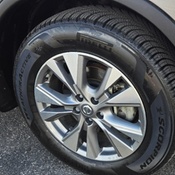 Photo submitted by Tom