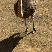 Photo submitted by Guest