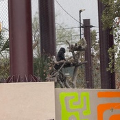 Photo submitted by Guest