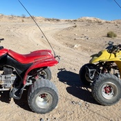 Photo submitted by amy