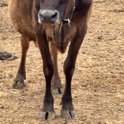 Photo submitted by Michelle