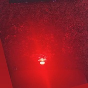 Photo submitted by Guest