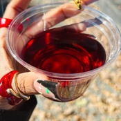 Photo submitted by Guest