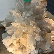 Photo submitted by Guest