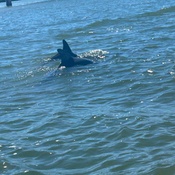 Photo submitted by Carlton