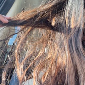 Photo submitted by safa