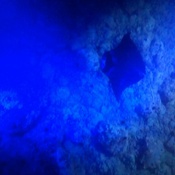 Photo submitted by Ziyu