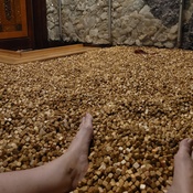 Photo submitted by Maria