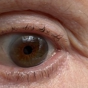 Photo submitted by Devora