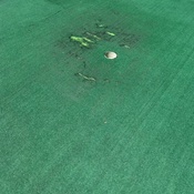 Photo submitted by Kristyn