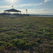 Photo submitted by Amy