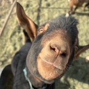 Photo submitted by Mel