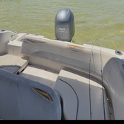 Photo submitted by Ginnie