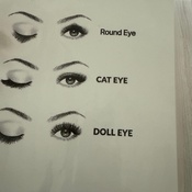 Photo submitted by Lauren