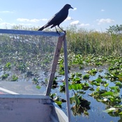 Photo submitted by Jason