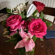 Photo submitted by Guest