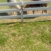 Photo submitted by Guest