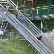 Photo submitted by teresa