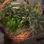 Photo submitted by Cherylle