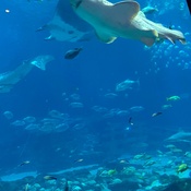 Photo submitted by sonita