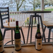 Photo submitted by linda