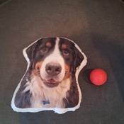 Photo submitted by Colleen