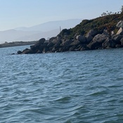 Photo submitted by Guest