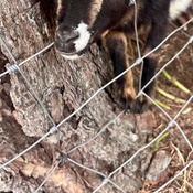 Photo submitted by pamela