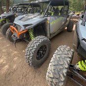 Photo submitted by deandrea