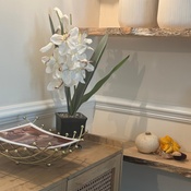 Photo submitted by Marianna