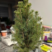 Photo submitted by Sheilah