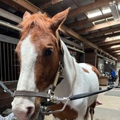 Photo submitted by Samudra