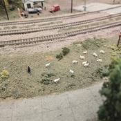 Photo submitted by Elizabeth