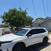 Photo submitted by Cely