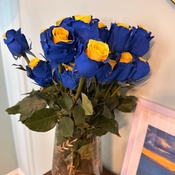 Photo submitted by Guest