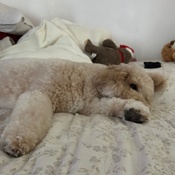 Photo submitted by Angel