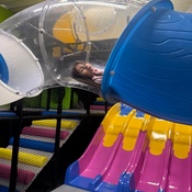 Photo submitted by Carlos