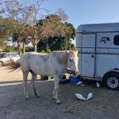 Photo submitted by kim