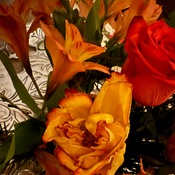 Photo submitted by LS